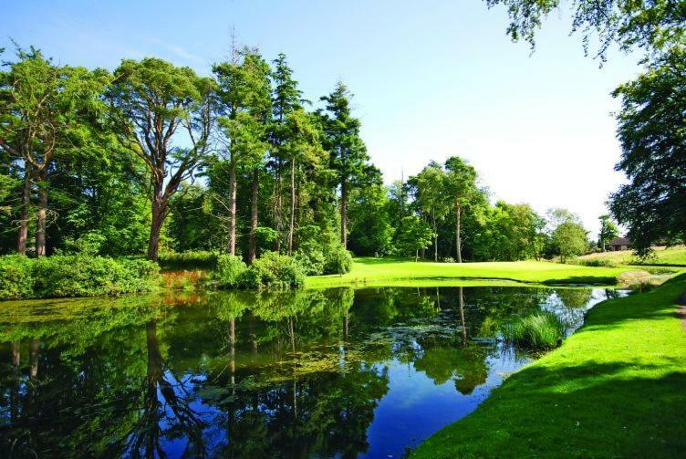 Craigie Dhu, Guest House Colliston Екстер'єр фото